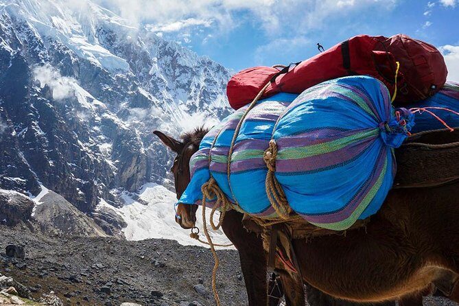 Salkantay Trek to Machu Picchu in 4 Days - Who this trek suits best (and who should look elsewhere)