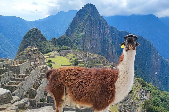 Shared 1 Day Machu Picchu Tour from Cusco - Bus up to the citadel: security first, then the guided walk