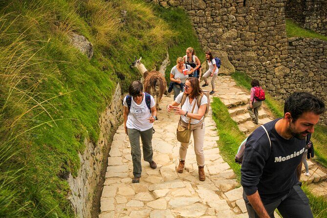 Short Inca Trail to Machu Picchu 2 Days - Chachabamba to Wiñay Wayna: River Views and Inca Viewpoints