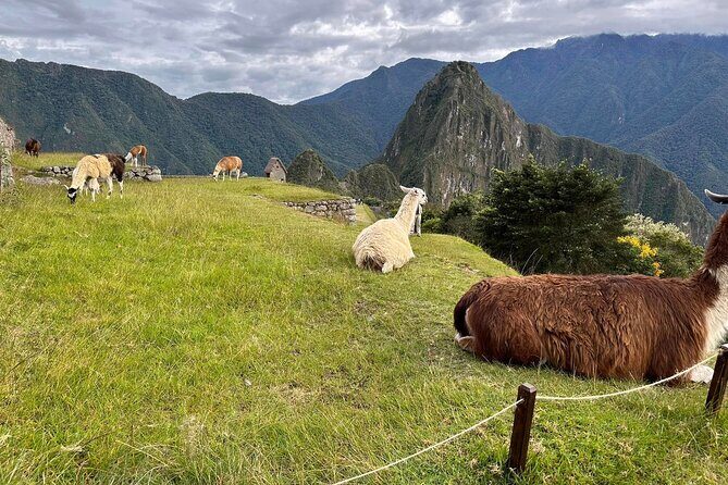 Short Inca Trail to Machu Picchu 2 Days and 1 Night - Price and value: is $757 per person worth it?