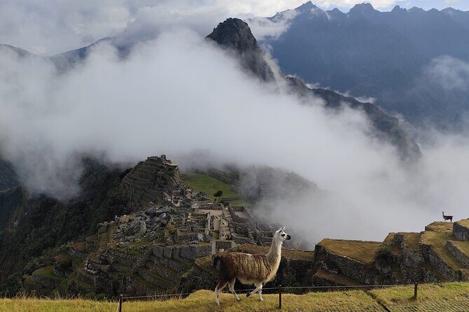 Short Inca Trail to Machu Picchu - Day 1: train to Km 104 and the long view toward Intipunku