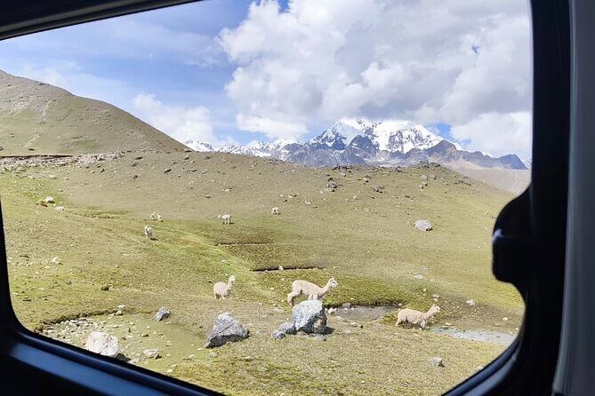 Singrenacocha Lagoon from Cusco - The 11:30 Transfer: Why the Vehicle Helps on a High-Altitude Day