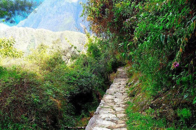 Small Group: 4-Day Inca Trail Trek to Machu Picchu - Day 2: Tres Piedras, Dead Woman’s Pass, and Pacaymayo (the hard day)