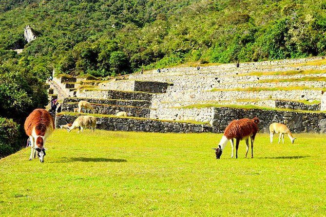 Small Group: 4-Day Inca Trail Trek to Machu Picchu - Accommodation and what to pack: the small stuff that saves your trip