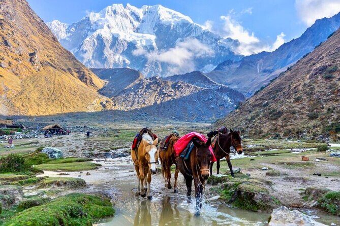 Small Group 5 Days Salkantay and Machu Picchu by Llactapata Tour - Price and logistics: what $593 buys you (and what costs extra)