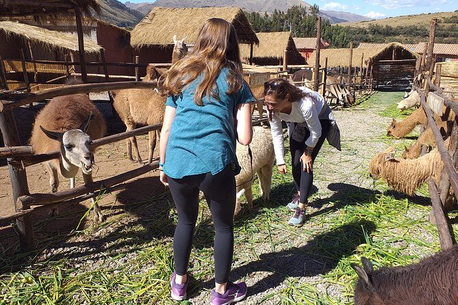 Super City Tour Cusco full day with lunch - Stop 5: Q’enqo, mummification stories, and the symbolism you’d miss alone