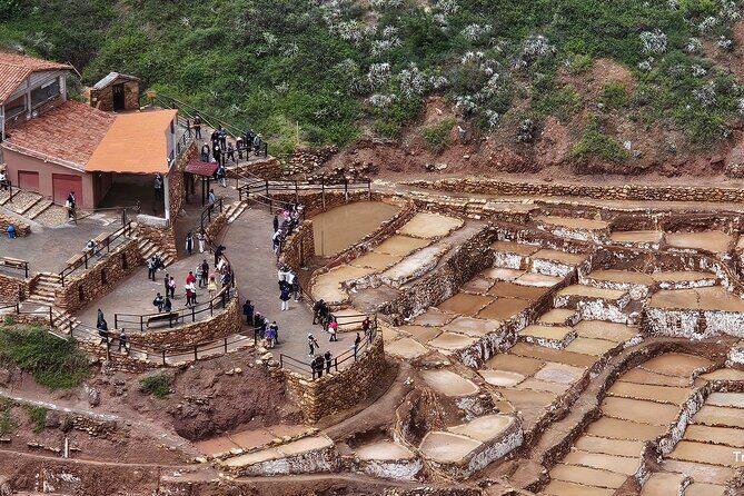 The best tour to the Sacred Valley: 1 day of history and Inca landscapes - Chinchero’s living traditions: textiles, alpacas, and hands-on storytelling