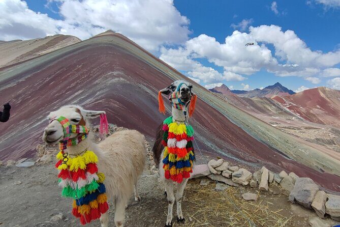 Tour de 1 dià a la montaña de colores - Safety Without Drama: First Aid Kit, Oxygen, and the Guide’s Role