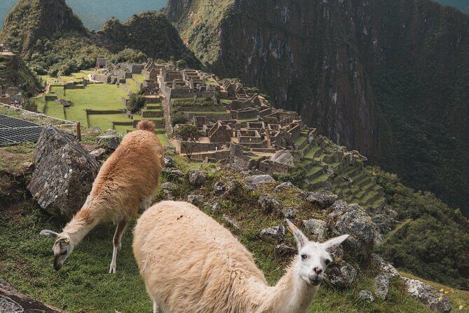 Tour de Día Completo a Machu Picchu - Key Highlights Worth Noticing