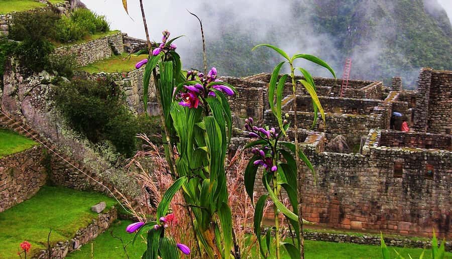 Tour Machu Picchu + Mountain of Huayna Picchu 2 days - Aguas Calientes overnight: what the timing does for you