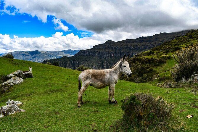 Tour to the Waqrapukara Archaeological Complex from Cusco - Santa Lucía hike to Waqrapukara fortress: your best stretch for photos
