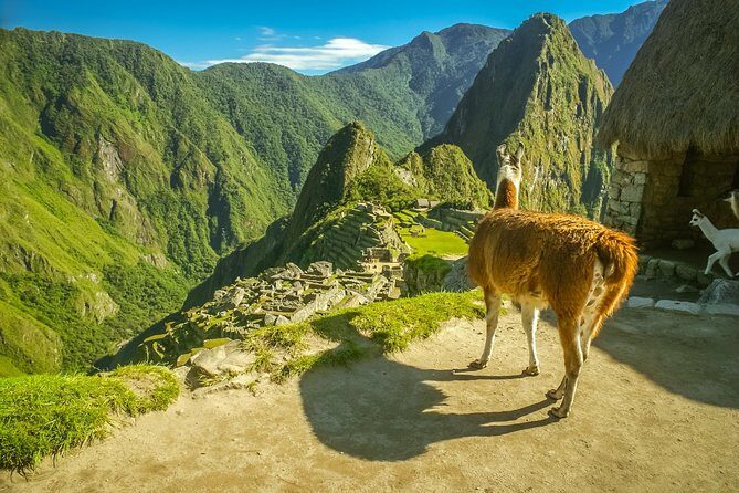 Travel Tour to machu picchu Full Day - A 3:00 a.m. start in Cusco: why this schedule feels like a win