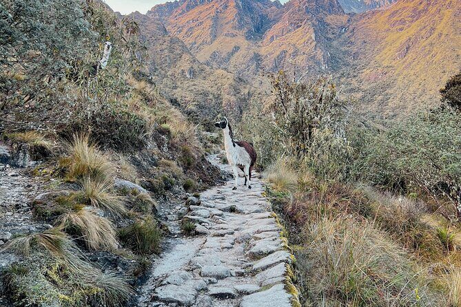 Two Day Short Inca Trail to Machu Picchu - Price and what you actually get in the two-day format
