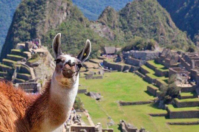 Ultimate 1-Day Machu Picchu Adventure by Train - Why this 1-day Machu Picchu plan feels easier than DIY