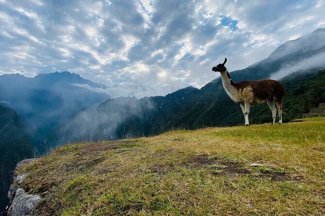 Visit Cusco & Machu Picchu in 5 Days / 4 Nights - All Inclusive - The $579 value question: what you actually get