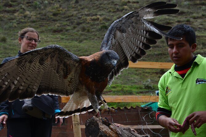 Voluntering at the Cochahuasi Sanctuary - Guided tours, English education, and the stories behind rescues