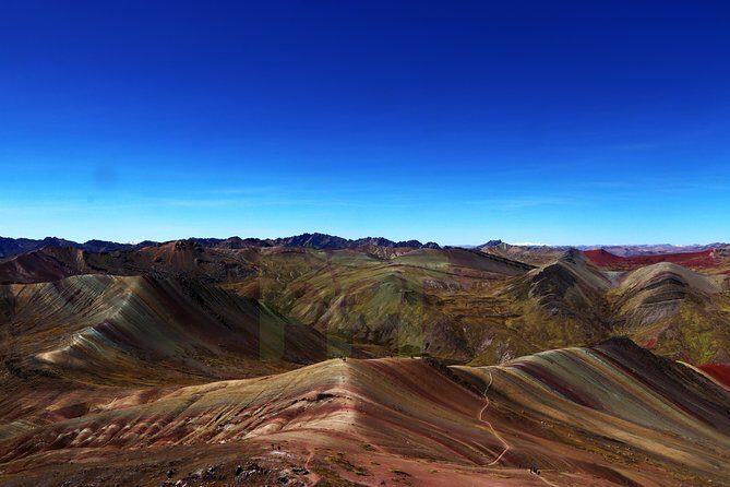 Walking with Alpacas in Palcoyo: The Alternative Rainbow Mountain - The Alpacas Part: Fun, But Also a Local Touch